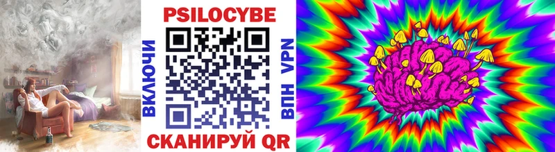 Галлюциногенные грибы Cubensis  Киров 