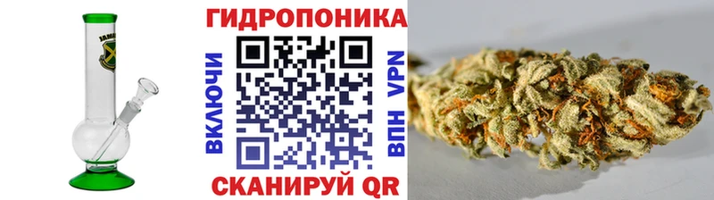 Конопля конопля  где найти   omg tor  Киров 